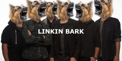 LINKIN BARK