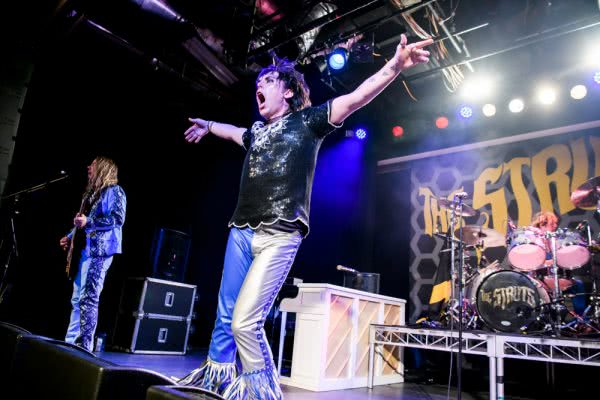 The Struts