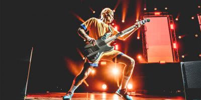 Image of Red hot Chili Peppers bassist Flea