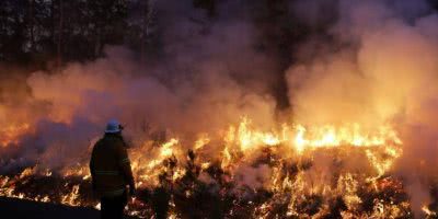 Bushfires