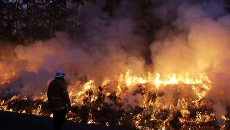 Bushfires
