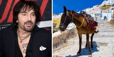 Tommy Lee and the Donkey Taxi
