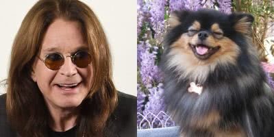 Ozzy Osbourne Rocky