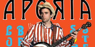 sufjan stevens