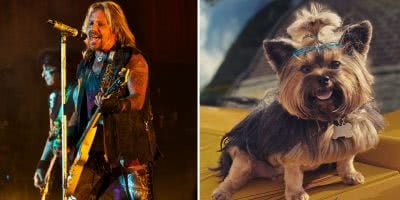 Split image of Mötley Crüe frontman Vince Neil and his dog Cali.