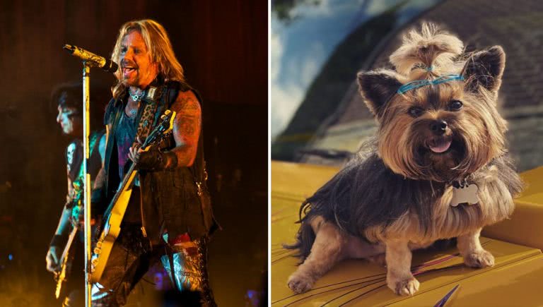 Split image of Mötley Crüe frontman Vince Neil and his dog Cali.