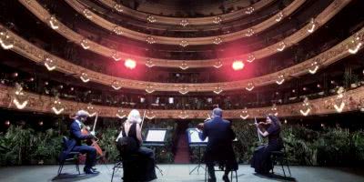 Barcelona Opera House playing to houseplants.