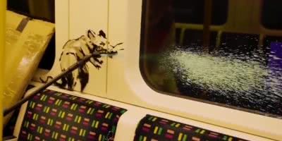 Banksy
