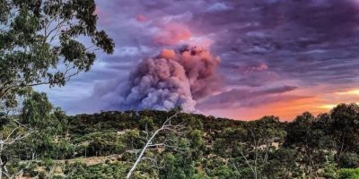 Hilltop Hoods bushfires