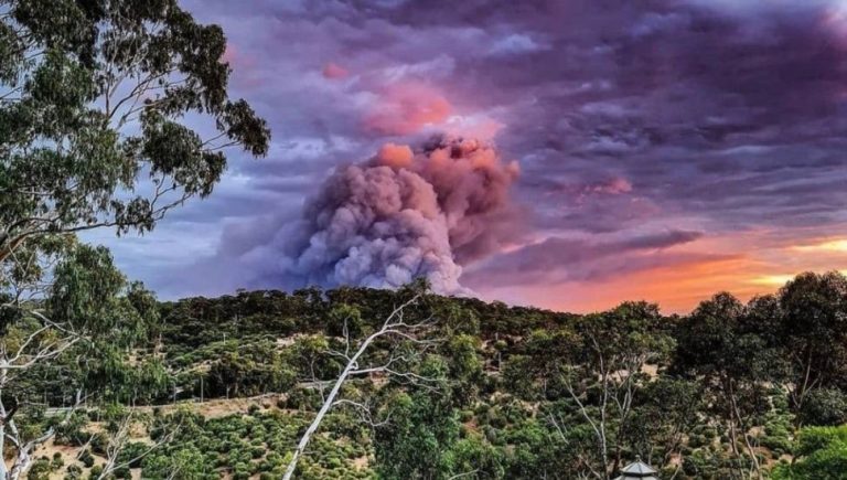 Hilltop Hoods bushfires