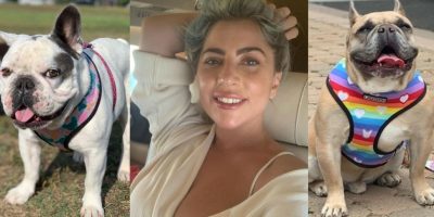 Lady Gaga's dogs are found