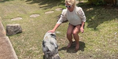 britney