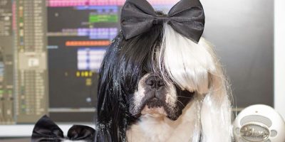 Pop singer Sia is investing in meat free pet food