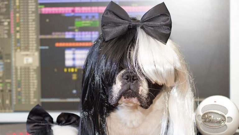 Pop singer Sia is investing in meat free pet food