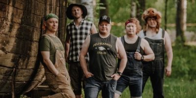 Steve 'n' Seagulls