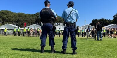 Police at a festival