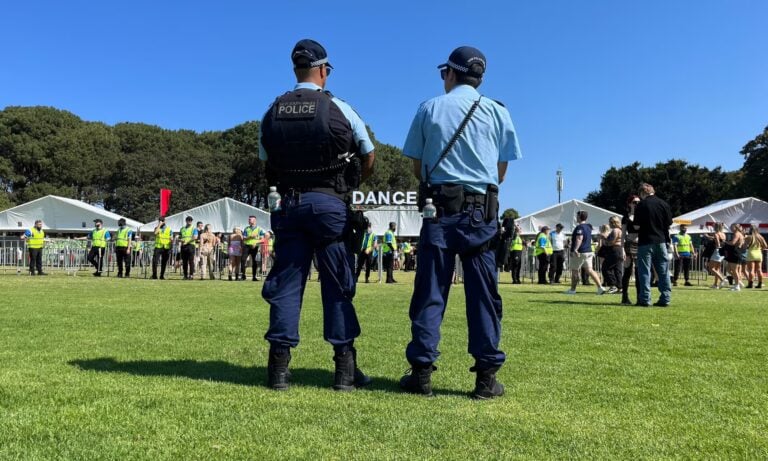 Police at a festival