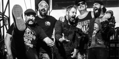 Zebrahead