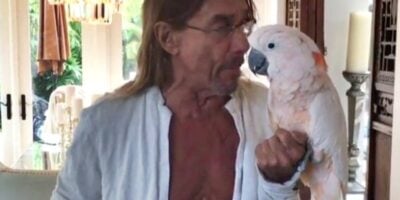 Iggy Pop and his pet parrot