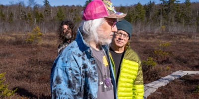 dinosaur jr.