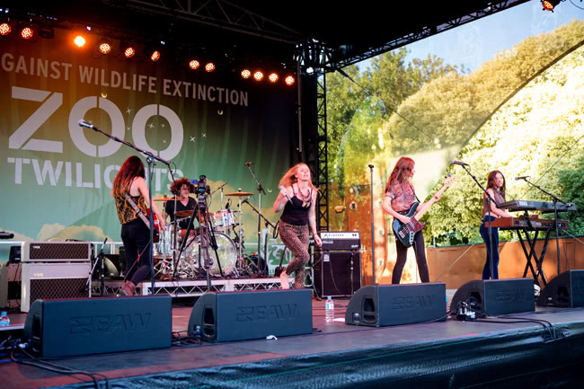Zoo Twilights - Stonefield
