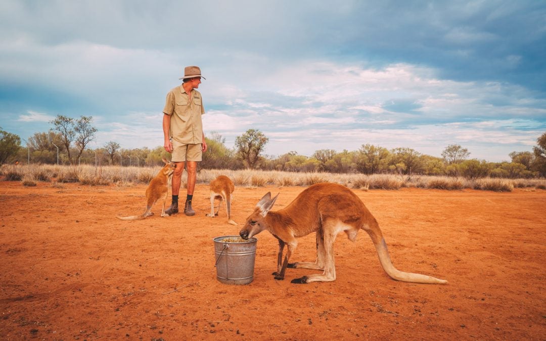 Kangaroo film Australia