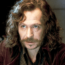 Gary Oldman as Sirius Black