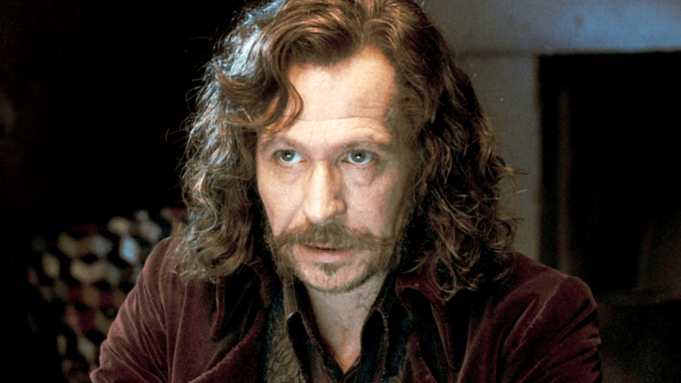 Gary Oldman as Sirius Black