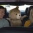 'Ted'