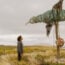 SBS and NITV Digital Originals series,