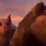 'Animal Farm'