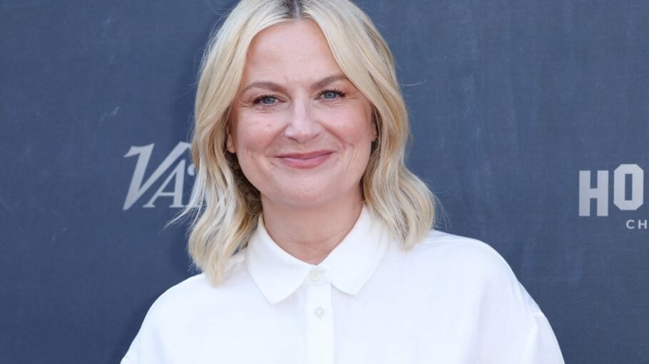 Former SNL star Amy Poehler