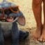 Lilo & Stitch