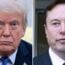 Donald Trump and Elon Musk