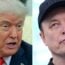 Trump Musk