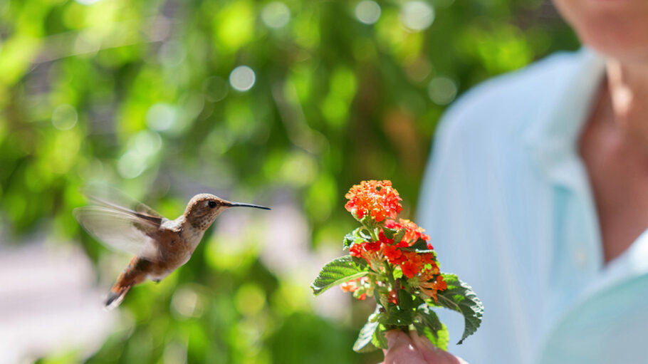 'Every Little Thing'