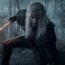 The Witcher