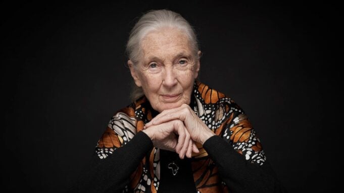 Jane Goodall