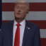'SNL'
