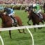 Melbourne Cup