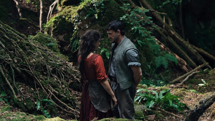 The Top Films You Can Watch