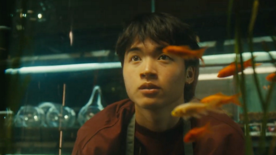 Judge Specsavers’ Flickerfest Short Film Competition