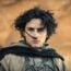Timothée Chalamet in Dune