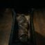 Lee Cronin's The Mummy