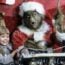 How the Grinch Stole Christmas