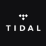 Tidal logo
