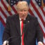 SNL