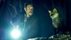 The Fox