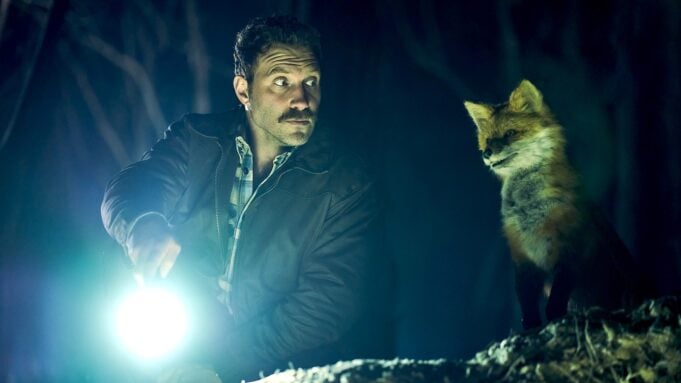The Fox