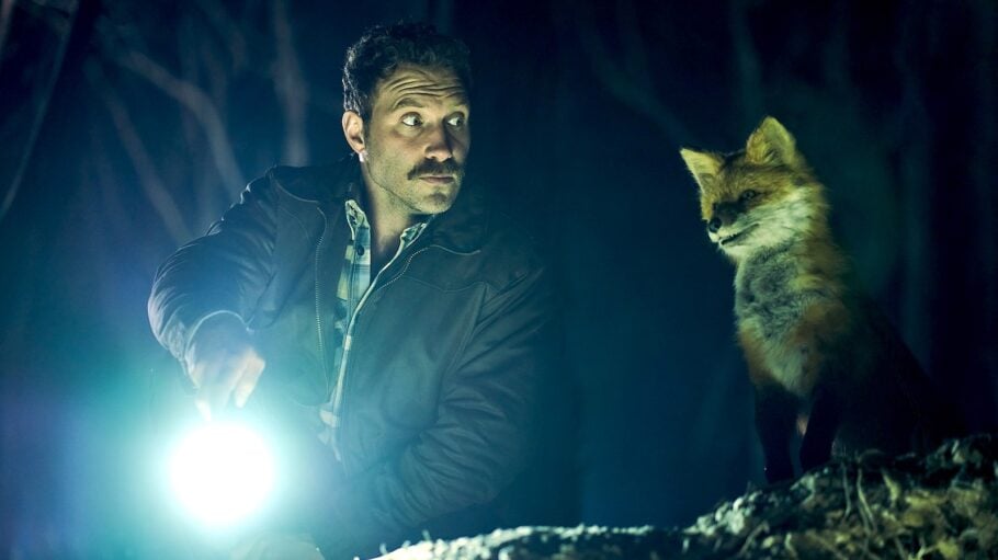 The Fox